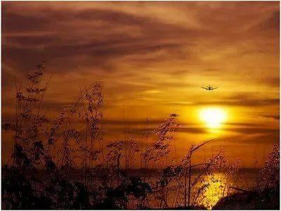 过去的岁月免费观看,免费重温往昔美好时光