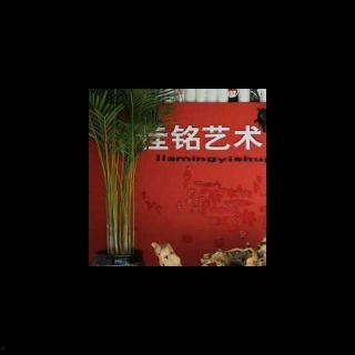 日本气象播报系列,揭秘风云变幻的天气奥秘