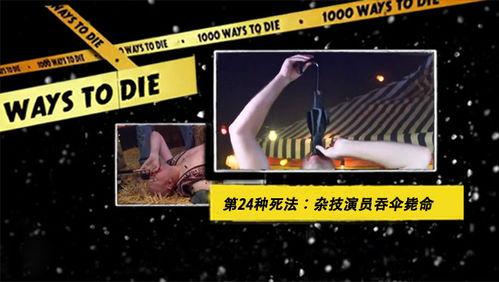 24种死法种子在线播放,在线播放带你领略生死边缘的惊悚之旅