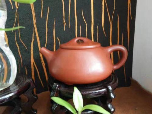 导游紫砂爆料视频大全