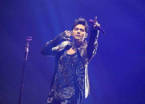 明星的演唱会,明星们的音乐盛宴之旅