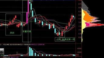 怎样看筹码分布图视频,揭秘股价走势背后的秘密