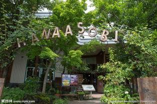 日本寺庙图片动漫,揭秘日本寺庙的神秘魅力