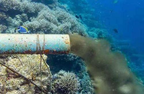 日本什么时候沉入海底,千年之后的历史预言