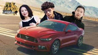 野马视频网站,探索无限娱乐世界的门户