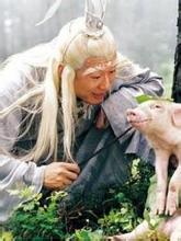 免费观看香港电影猫妖,揭秘香港电影猫妖的奇幻魅力